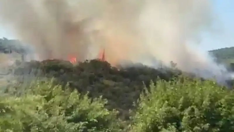 İstanbul'da Çıkan Orman Yangını: Vatandaşlar Hızla Tahliye Ediliyor