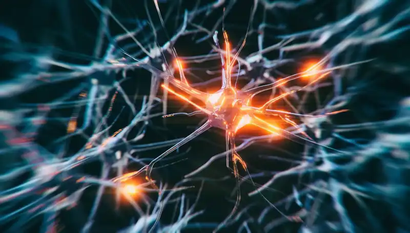 Alzheimer Vakalarındaki Endişe Verici Artışın Arkasındaki Sebepler