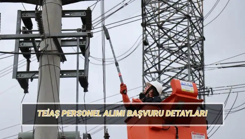 TEİAŞ Personel Alımı: Hangi Branşlar ve Şartlar Bekleniyor?