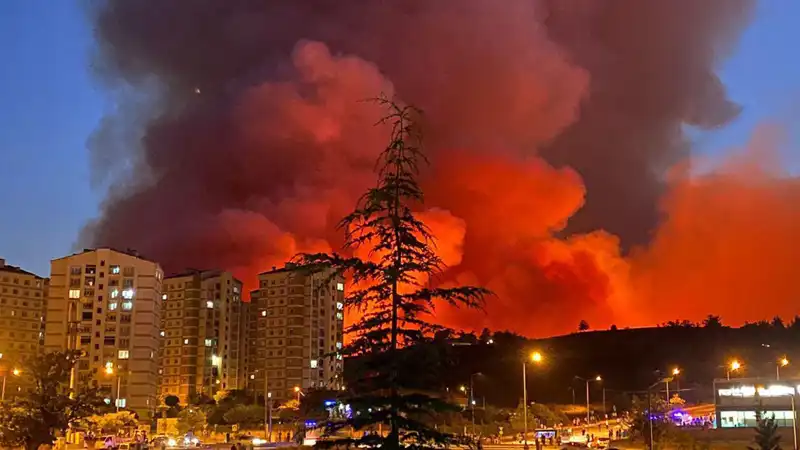 Bursa'da Yangınlar Kenti Sararken, İhmalin Faturasını Kim Ödeyecek?