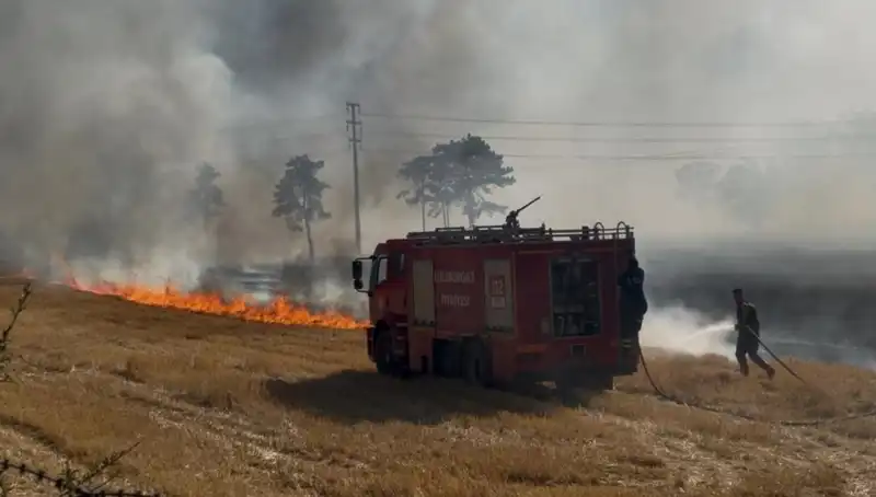 Kırklareli'nde Anız Yangını: Doğa ve Tarım İçin Tehlike Alarmı!
