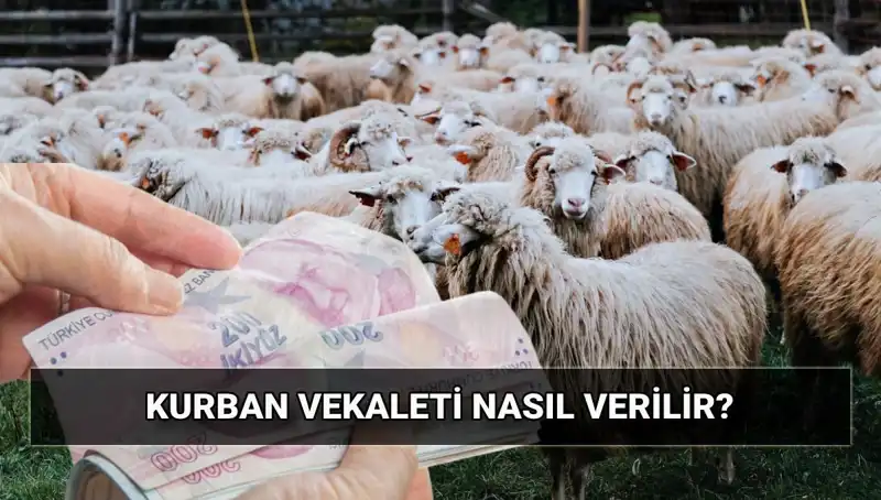 Vekaletle Kurban Kesimi 2025: Diyanet'ten Tüm Detaylar