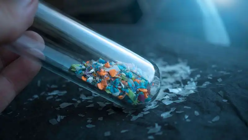 Mikroplastikler İnsan Beynine Ulaşıyor: Sağlığımıza Etkileri Neler?