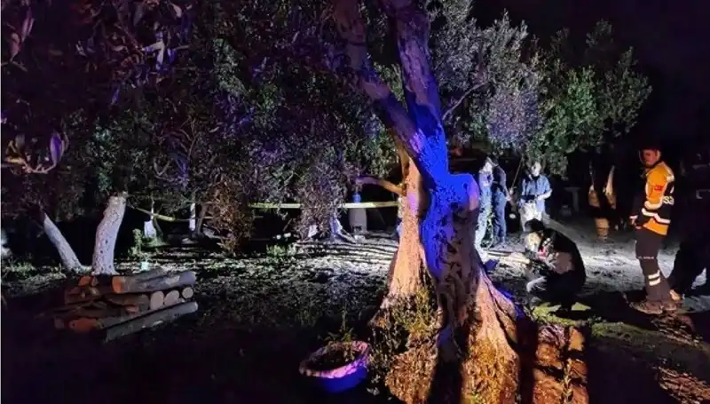 Çiftlikte Baltalı Vahşete Yapılan İlk Tutuklama Şok Yarattı