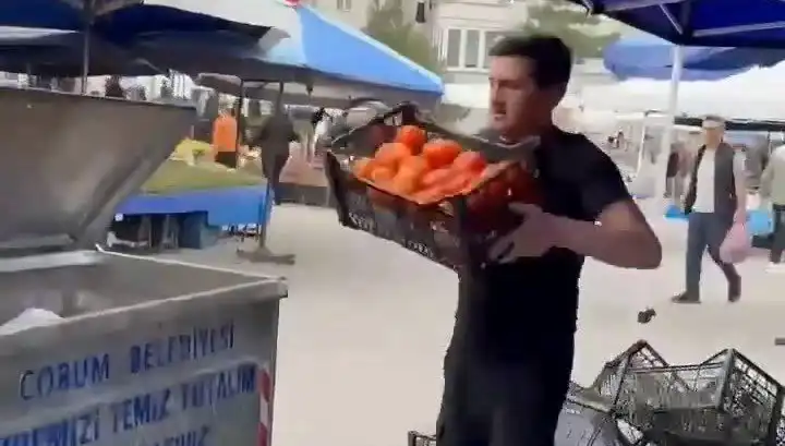 Domatesleri Çöpe Döken Pazarcıya Uygulanan Şaşırtıcı Para Cezası!