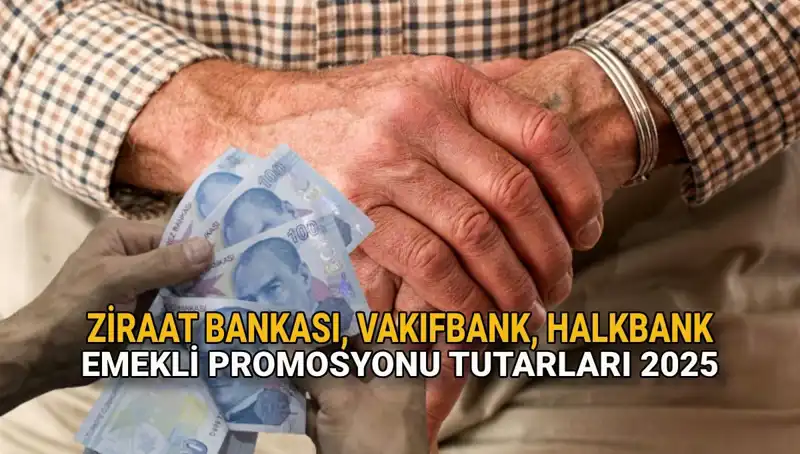 2025'te Kamu Bankalarından Emeklilere Sunulacak Promosyonlar