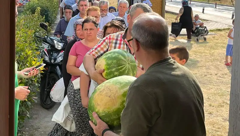 Tarlalarda Hasat Zamanı: Ürünler Bedava Dağıtılıyor, Neden?