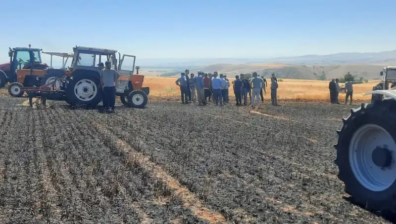 Yozgat’ta 100 Dönüm Ekili Alanın Küle Dönüşmesi: Tıbbi ve Tarımsal Sorunlar