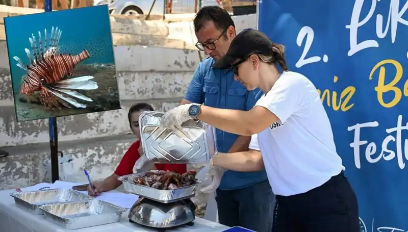 Antalya'da İstilacı Aslan Balığı Avlama Yarışması: Denizdeki Tehditlere Karşı Mücadele