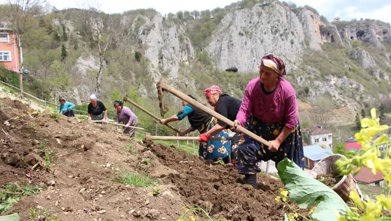 Zorlu Mesai Başladı: Sırtlarda Sepet, Ellerinde Kazmalarla Mücadele Ediyorlar