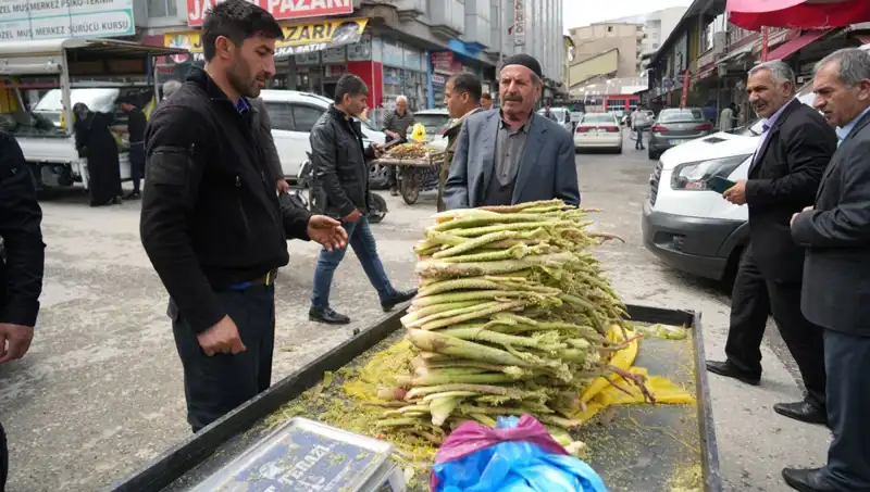 Dağlık Alanlarda Toplanan Şekerin Sağlıklı Faydaları ile Geleceği