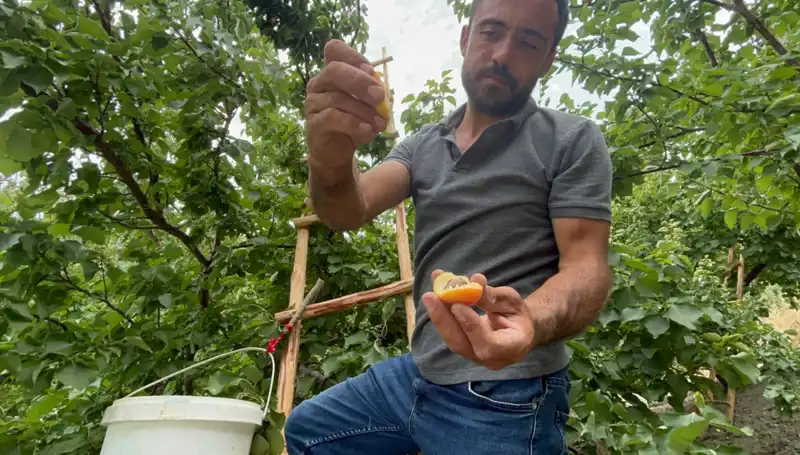 50 TL ile 70 TL Arası Fiyatla Lezzet Yolculuğu: Damakları Şenlendiren Bir Deneyim