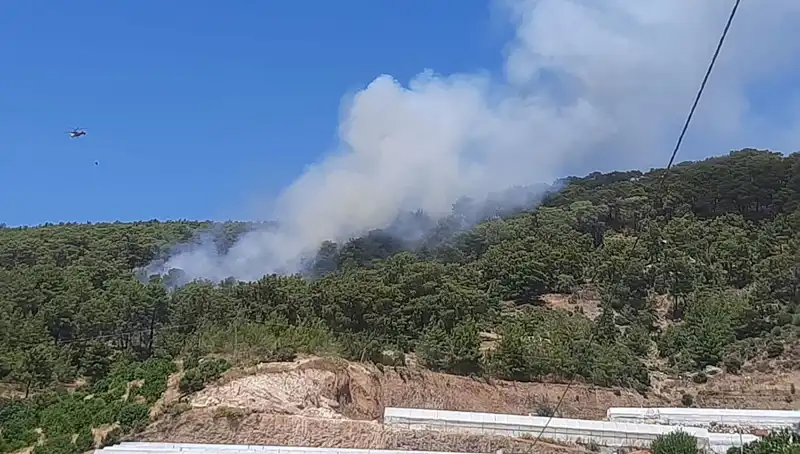 Kumluca’da Büyük Orman Yangını Rüzgarın Etkisiyle Büyüyor