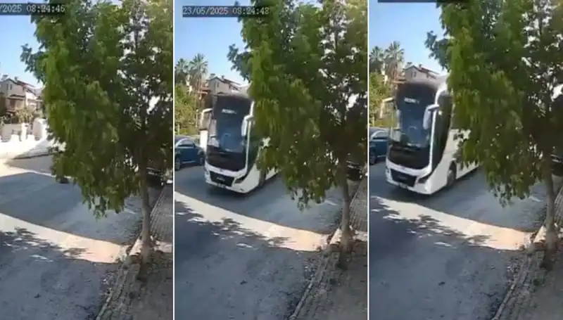 Yolda Yatan Köpeği Ezip Geçen Sürücüye Tepkiler Yağdı!