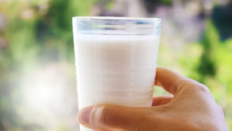 Süt Tüketiminin Şişkinliğe Etkisi: Doğru Bilinen Yanlışlar