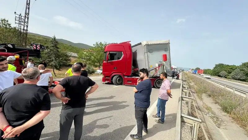 Seyir Halindeyken Arı Soktu: Trafik Korku İçinde Kilitlendi