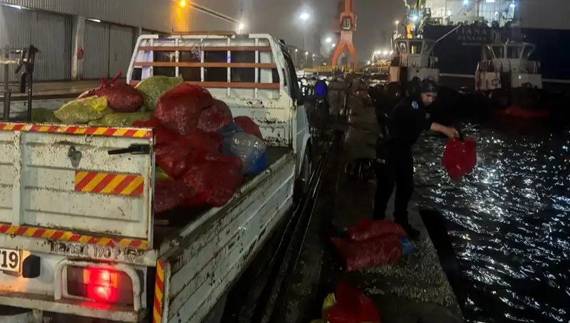 Kaçak Midye Operasyonu: 10 Ton Midye Ele Geçirildi!