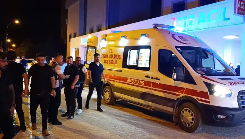 Kardeşini Korumuştu, Ama Sonuçları Üzücü Oldu