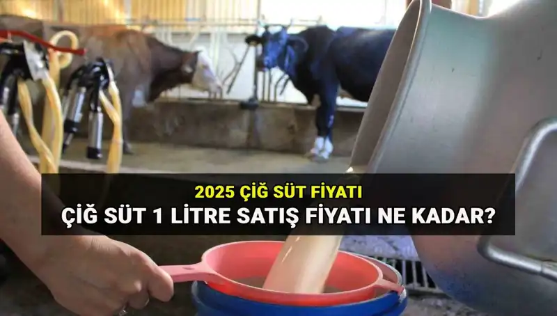 Çiğ Süt Fiyatları 2025: Ulusal Süt Konseyi'nin Beklentileri Neler?