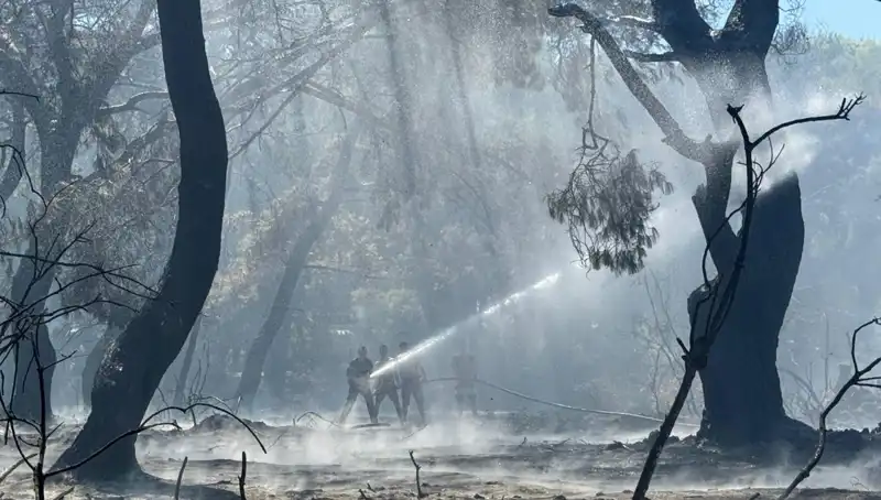 Çanakkale, Antalya ve Hatay'daki Yangınlar Nihayet Kontrol Altına Alındı!