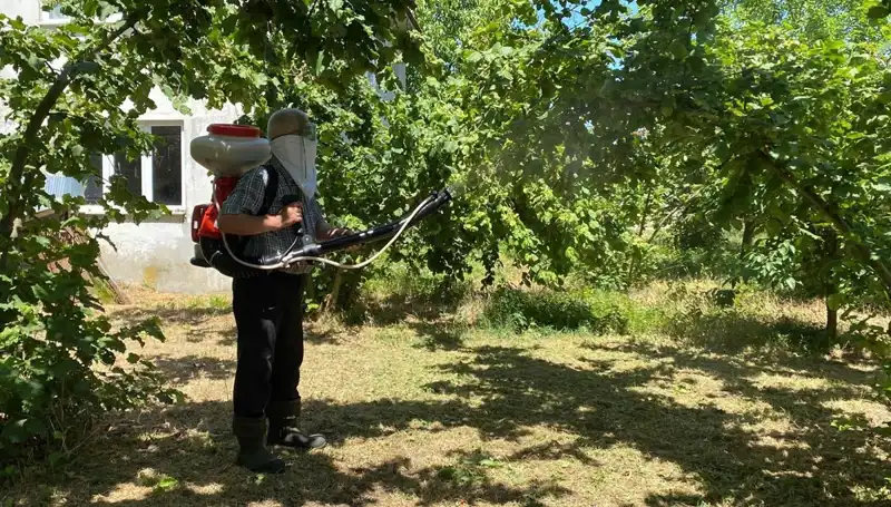 Çiftçilerin Kükürt ve Samuray Arısı Mücadelesi: Tarımın Geleceği Nerede?