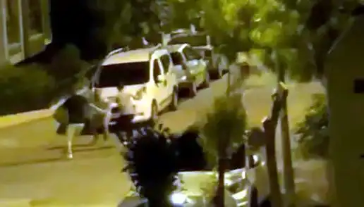 Avcılar’da Üç Kişinin Saldırdığı Vatandaş Kurtarıldı: Olay Anı Gergin Anlar Yaşattı