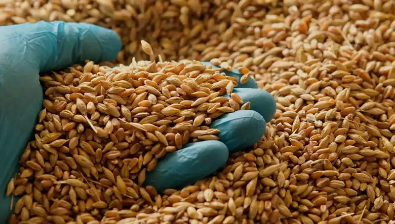 Kalp Hastalığı Riskini Azaltan Beslenme Alışkanlıkları Nelerdir?