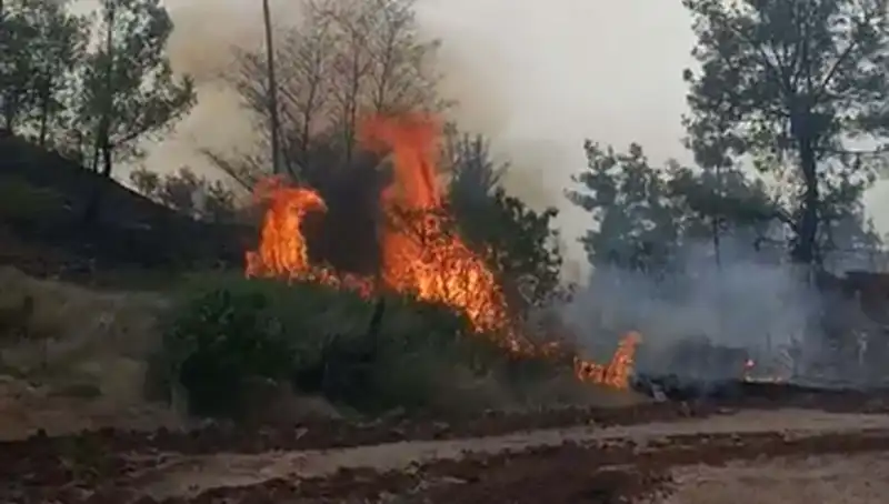 Denizli'de Orman Yangını: Doğaya Vurulan 7 Hektarlık Darbe