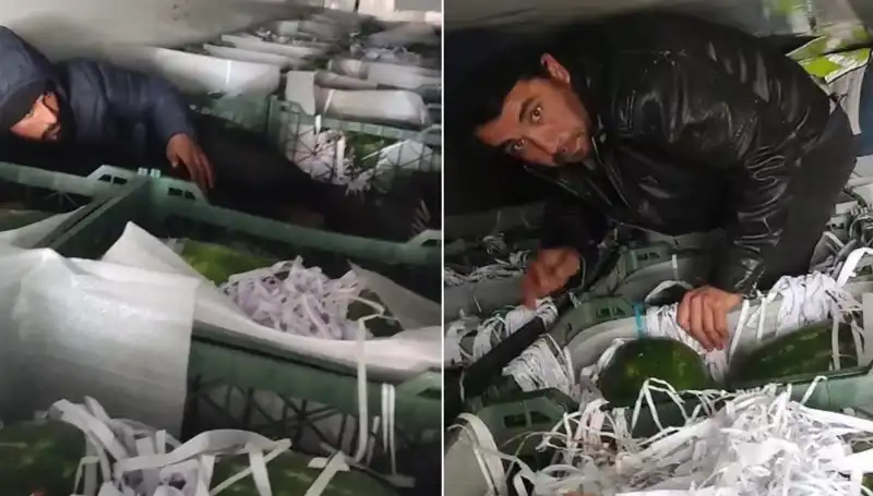 Karpuzların Arasından Çıkan Göçmenler: Bir Skandalın Ardından Gelen Gerçekler