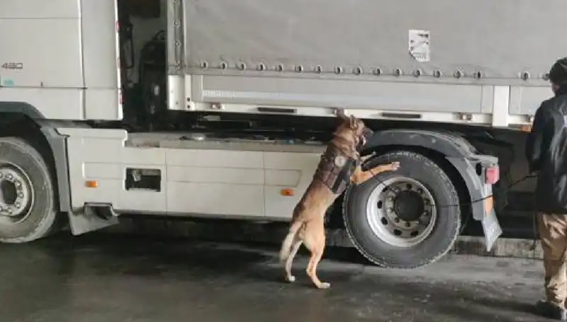 Limanda Tarihi Uyuşturucu Operasyonu: Ele Geçirilen Miktar Şaşırttı!
