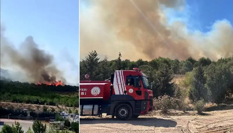 Gebze'de Korkutan Orman Yangını: Yangınla Mücadele Sürüyor