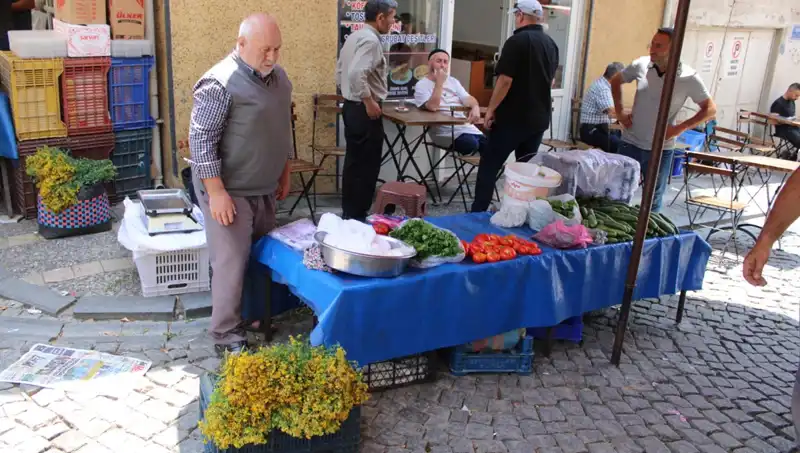 Dağların Gizli Hazinesi: Şifalı Bitkiler Neden Bu Kadar Değerli?