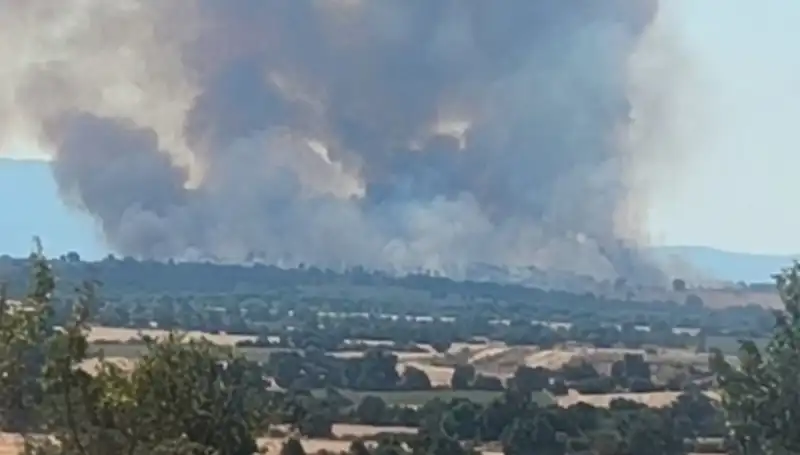 Komşu Ormanda Patlak Veren Yangın, Edirne'yi Korkuttu ve Dumanla Kapladı