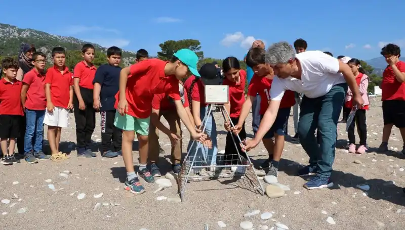 Kemer’de Caretta Caretta Koruma Yasakları Başladı: Deniz Turtles’ları Tehlikede!